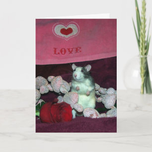 Pet rat, Darcy, Valentine's Day card