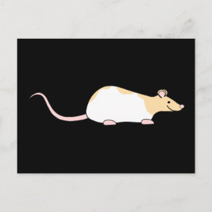 Pet Rat. Fawn and White Hooded Variegated. Postcard