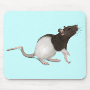 Pet Rat Painting Mouse Mat