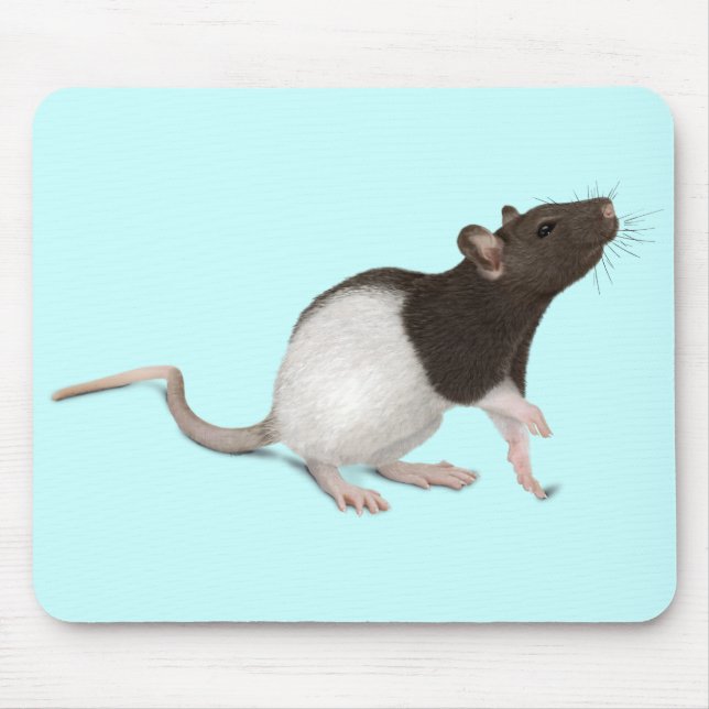Pet Rat Painting Mouse Mat (Front)