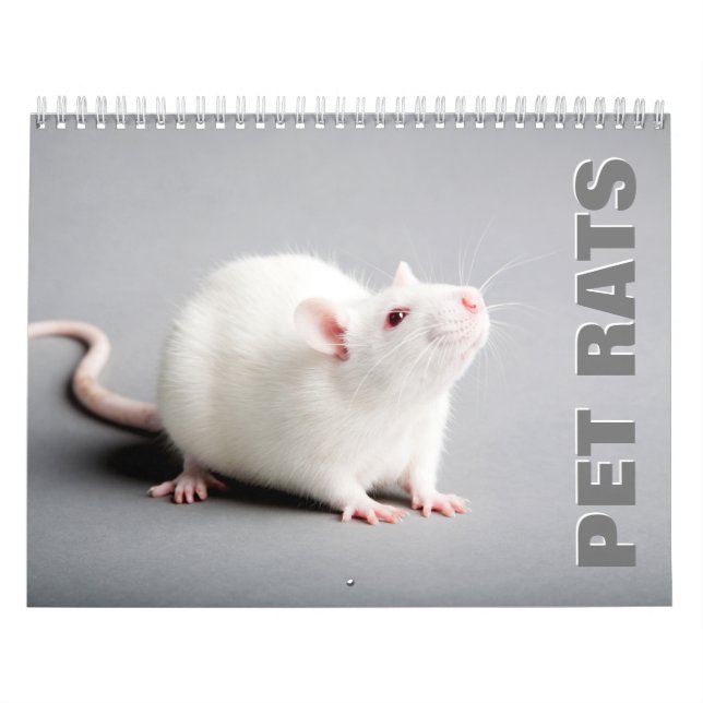 Pet Rats Wall Calendar (Cover)