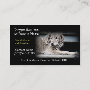 Pet Rescue or Dog Products Business Card
