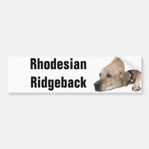 Pet Rhodesian Ridgeback Dog Picture Bumper Sticker