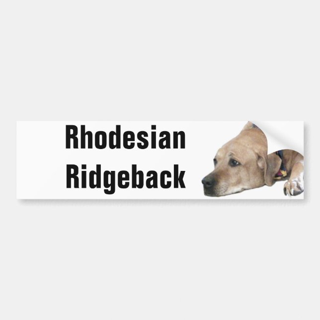 Pet Rhodesian Ridgeback Dog Picture Bumper Sticker (Front)