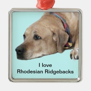 Pet Rhodesian Ridgeback Dog Picture Metal Tree Decoration