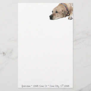 Pet Rhodesian Ridgeback Dog Picture Stationery