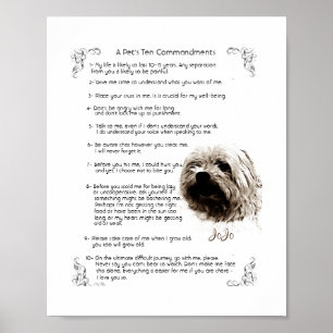 Pet Rules - JoJo Poster