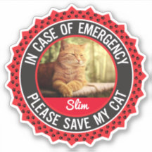 Pet Safety Alert In Case of Emergency Cat Kitten