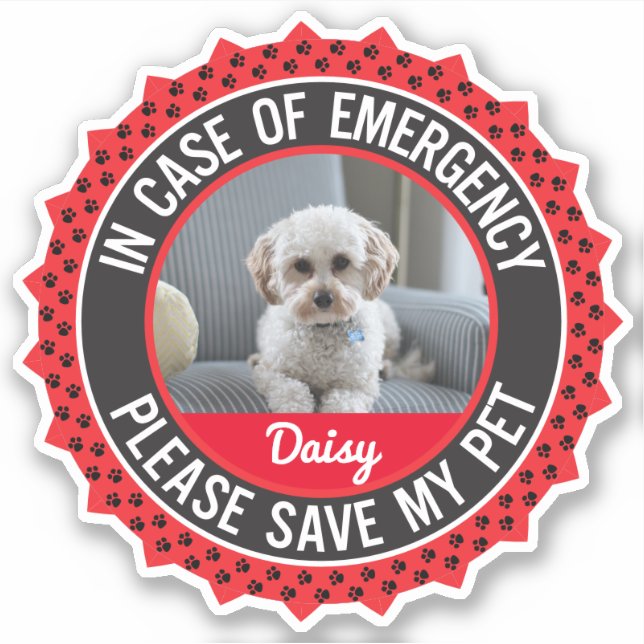 Pet Safety Alert with Photo Name Editable Colours (Front)
