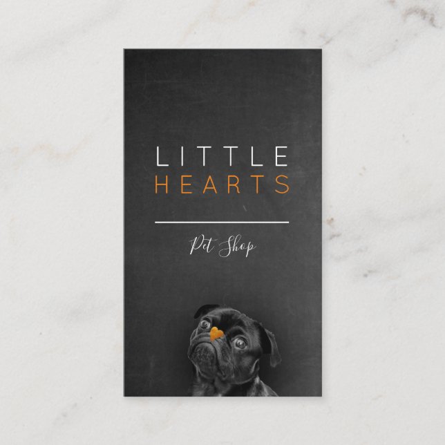 Pet Shop / Pet Care Services/ Sitting services Business Card (Front)