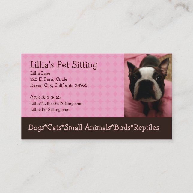 Pet Sitter Boston Terrier Business Card (Front)