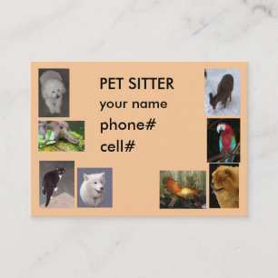 PET SITTER BUSINESS CARD