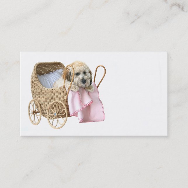 Pet sitter business card (Front)