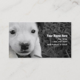 Pet Sitter Business Card - Jack Russell Puppy