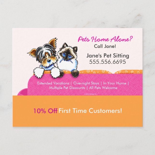 Pet Sitter Coupon Mailer Ad Yorkie Cat Couch Pink Postcard (Front)