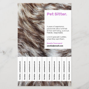Pet Sitter Flyers Dog Walker Animal Pet Boarding