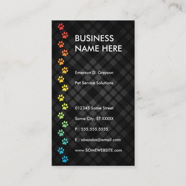 pet sitter streamline rainbow business card (Front)