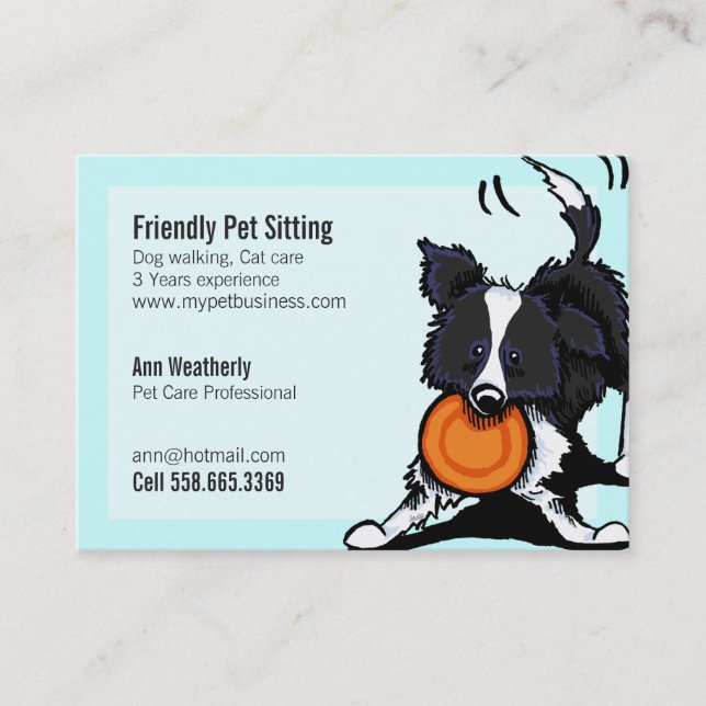Pet Sitting Border Collie Friendly Bright Business Card (Front)
