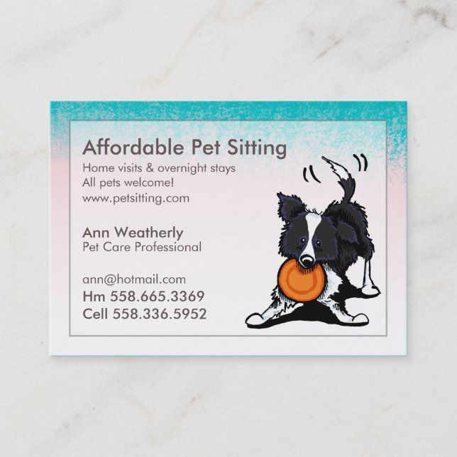 Pet Sitting Border Collie Pink Blue Business Card (Front)