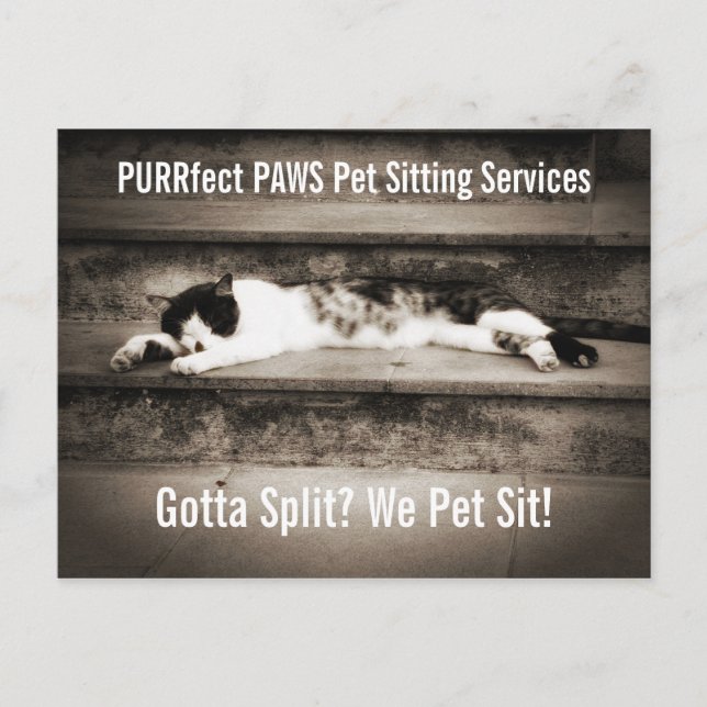 Pet Sitting Business with Tuxedo Cat on Steps Postcard (Front)