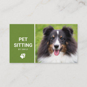 Pet Sitting Dog Service Happy Sheltie Dog Photo Business Card