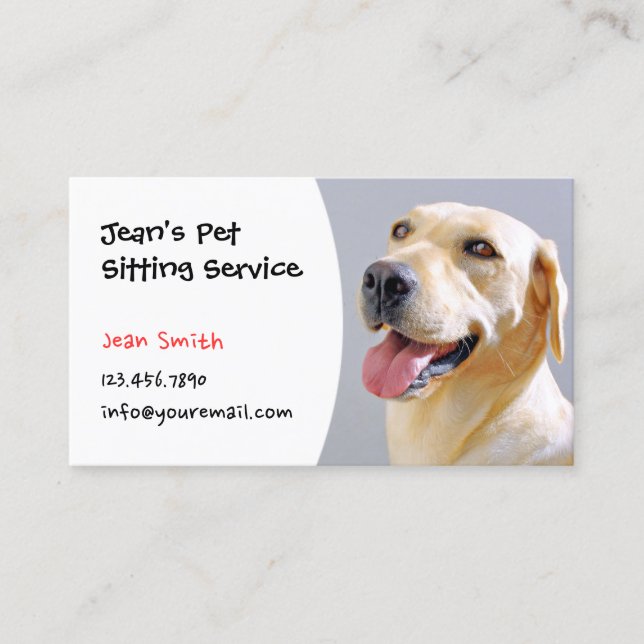 Pet Sitting Professional Dog Training Business Card (Front)