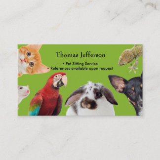 Pet Sitting Service  Business Card