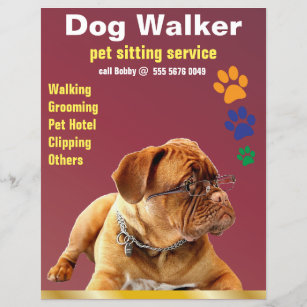Pet Sitting Service Dog Walker Trustworthy Flyer