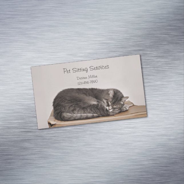Pet Sitting Services Cat Grooming Dog Walking Magnetic Business Card (In Situ)