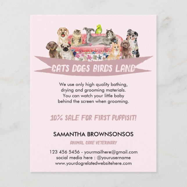 Pet Sitting Services | Dog Cat Bird | Pink Sofa Flyer (Front)