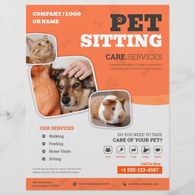 Pet Sitting Services Flyer (Front)