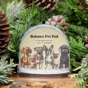 Pet Sitting Snow Globe