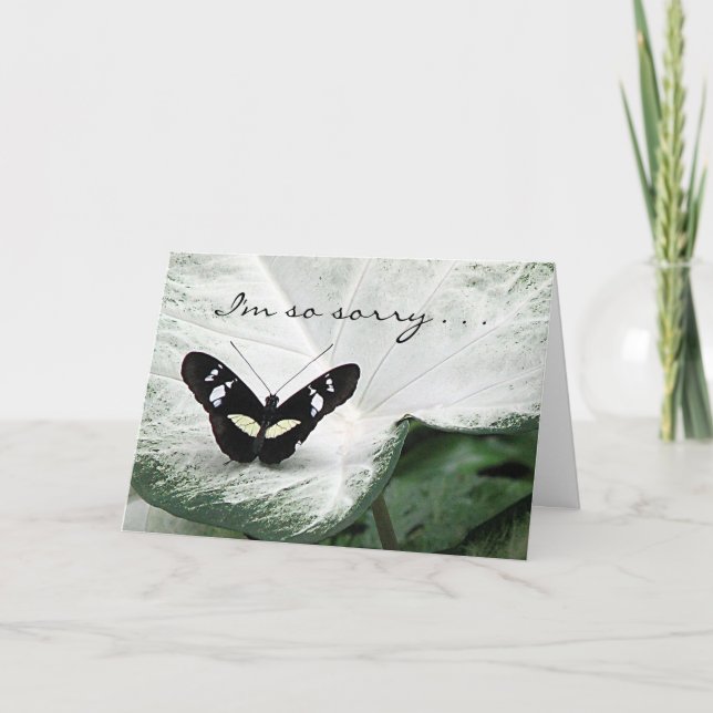 Pet Smpathy - butterfly Card (Front)