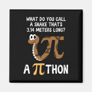 Pet Snake Math Pi Day Python  Magnet