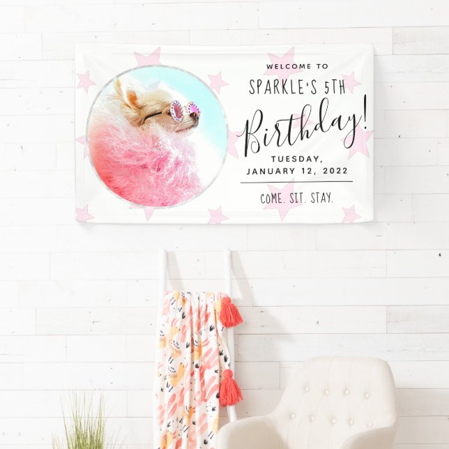 Pet Star | Photo Dog Birthday Party Stars Banner (Insitu)