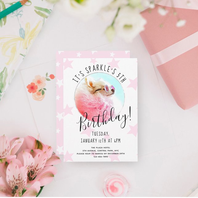 Pet Star | Photo Dog Birthday Party Stars Invitation (Creator Uploaded)