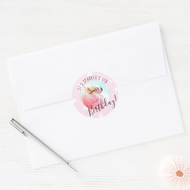 Pet Star | Photo Pet Birthday Party Pink Classic Round Sticker (Envelope)