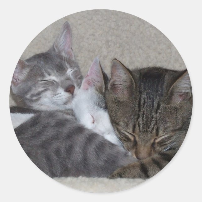 Pet Stickers (Front)
