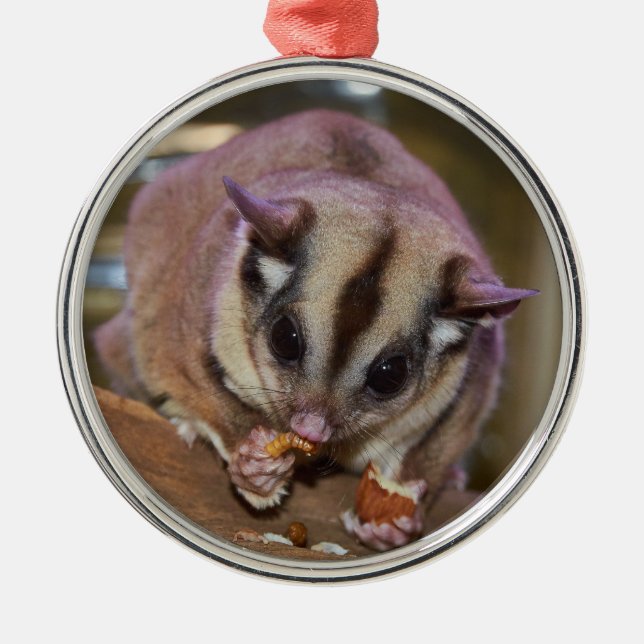 Pet Sugar Glider Metal Tree Decoration (Front)