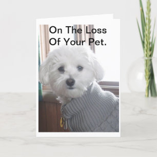 Pet Sympathy Card