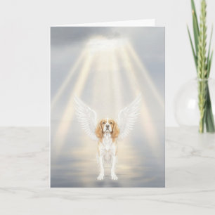 Pet Sympathy Card Always Remembered Sweet Friend