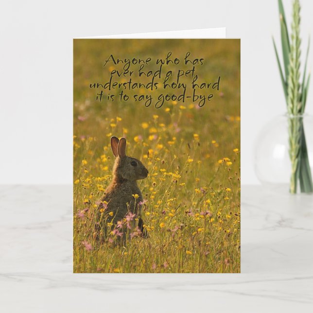 Pet Sympathy Card - Loss Of Pet Rabbit (Front)