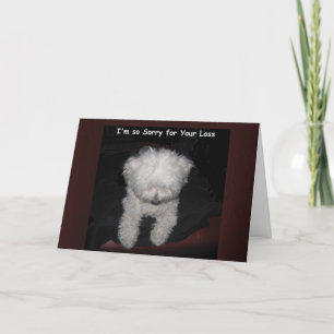 Pet Sympathy Card - Maltese Dog Praying