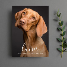 Pet Sympathy Card Memorial 