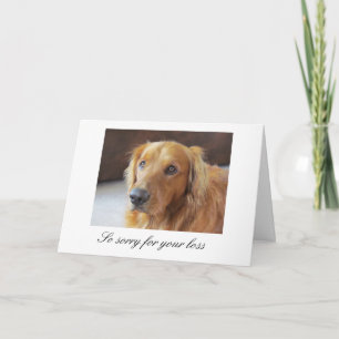 Pet Sympathy Card with Golden Retriever