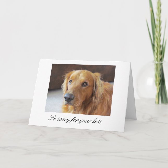Pet Sympathy Card with Golden Retriever (Front)