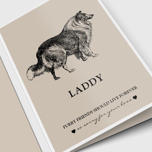 Pet Sympathy Cards | Best Friend Collie (Pet Loss, Pet Memorial sympathy card for a Collie dog. Dog lover.)