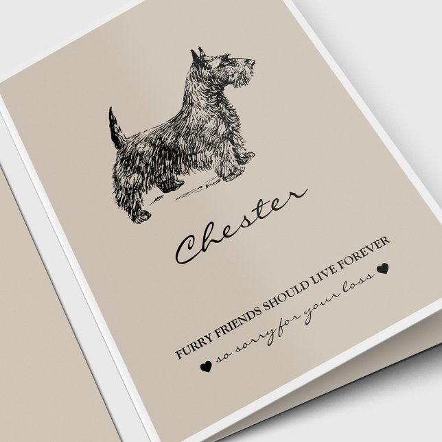 Pet Sympathy Cards | Best Friend Fox Terrier (Pet Memorial, Pet Loss, Dog Lover Sympathy Card for a Scottish Terrier)