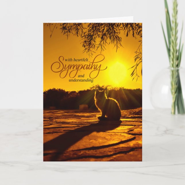 Pet Sympathy for Loss of a Cat Late Afternoon Sun Card (Front)