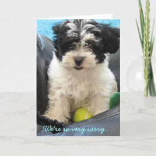 Pet Sympathy - Havanese puppy . . Card